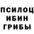 Галлюциногенные грибы мицелий Igor Seremet