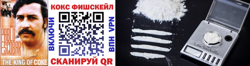 Cocaine Fish Scale  это состав  Городец  купить наркоту 