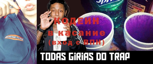 индика Галич