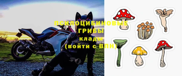 амф Бугульма