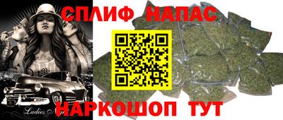 стаф Бузулук