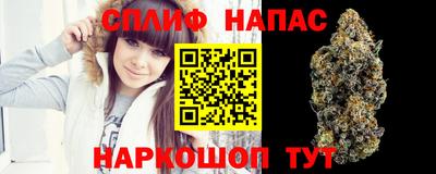 стаф Бузулук