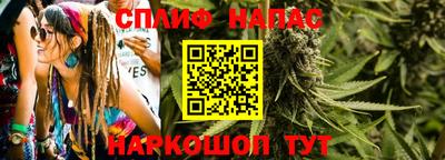 стаф Бузулук