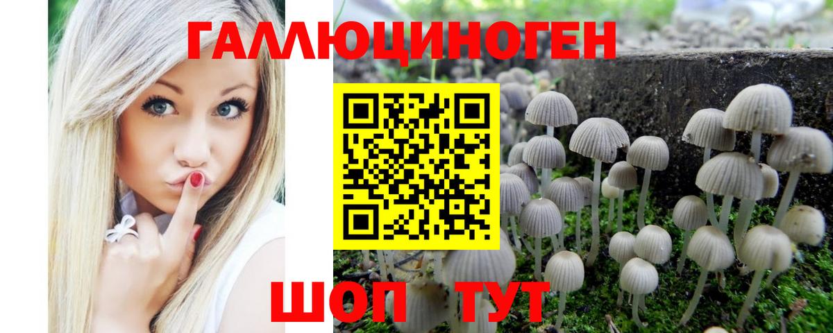 Городец  Псилоцибиновые грибы MAGIC MUSHROOMS  Вход с VPN 