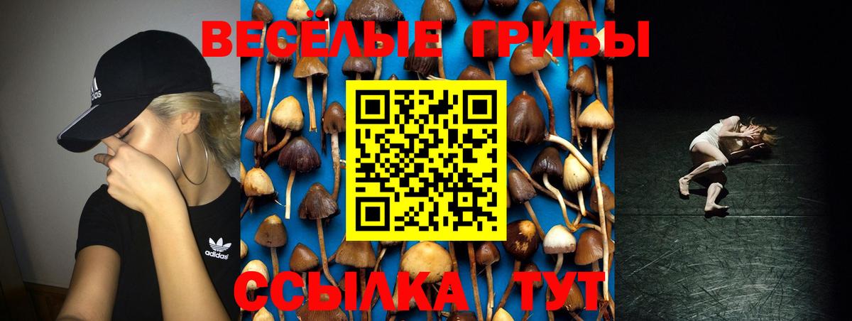 Псилоцибиновые грибы Cubensis Городец