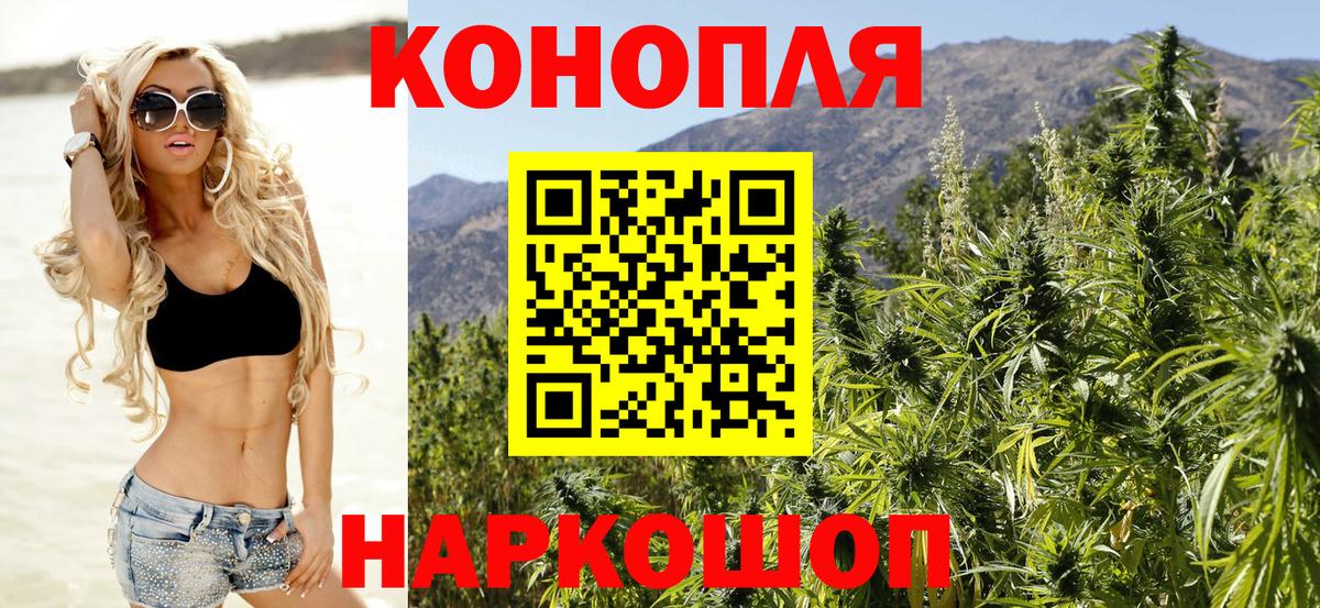 Марихуана OG Kush Городец